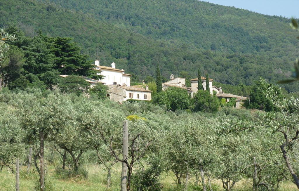 Della Genga Resort Arezzola Oda fotoğraf